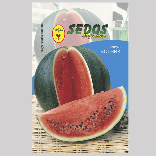 Кавун Вогник